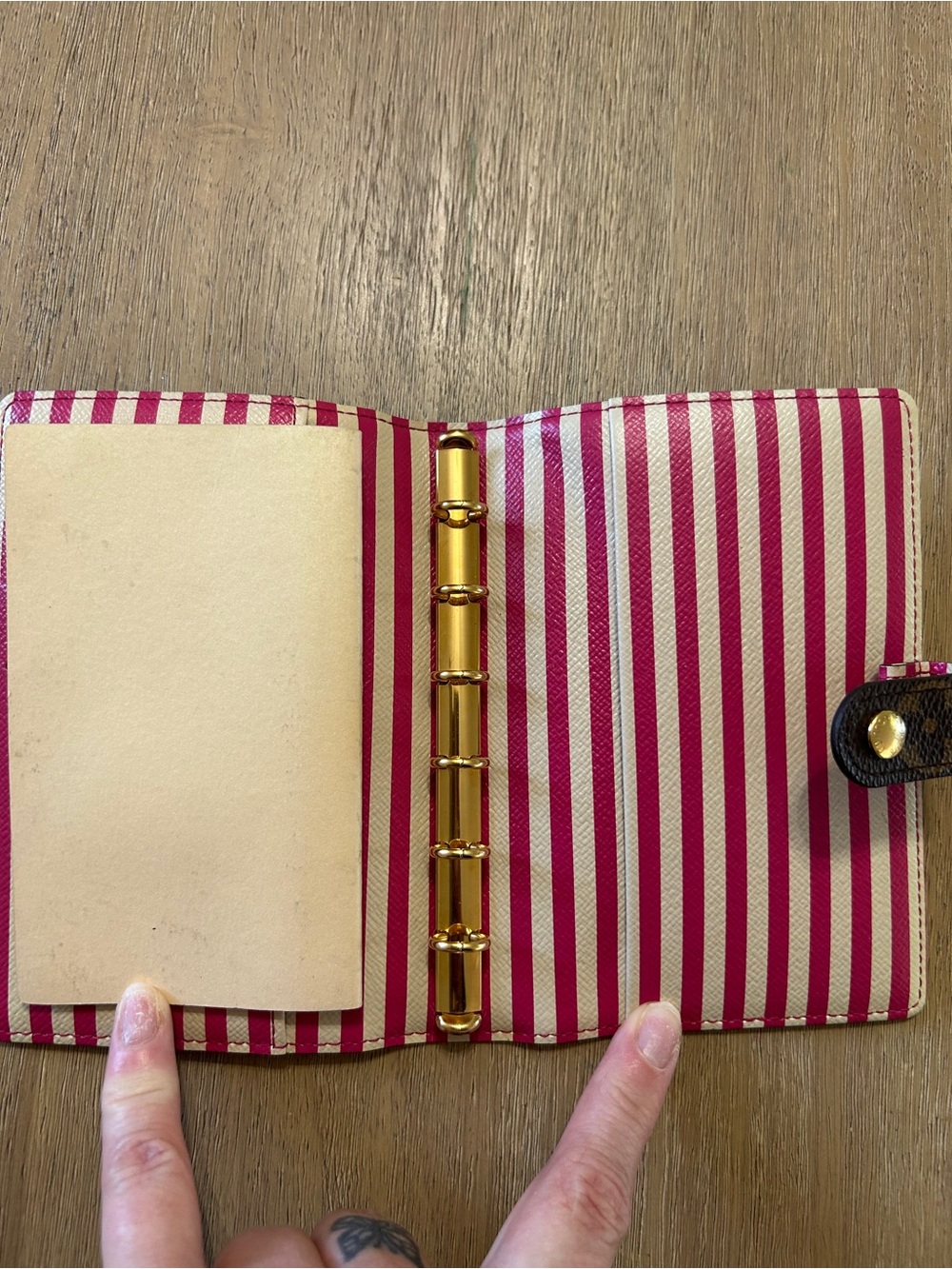 Louis Vuitton Monogram Notebook/Agenda Trunk Print - Picture 10 of 11